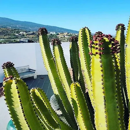 컨트리하우스 Finca La Alejandria Fasnia