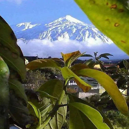 Finca La Alejandría Casa rural Fasnia